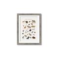 Picture of Animal Alphabet _GroupedProduct_Rectangle_Portrait_Framed_Matted_