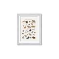 Picture of Animal Alphabet _GroupedProduct_Rectangle_Portrait_Framed_Matted_