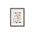 Picture of Animal Alphabet _GroupedProduct_Rectangle_Portrait_Framed_Matted_