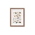 Picture of Animal Alphabet _GroupedProduct_Rectangle_Portrait_Framed_Matted_