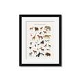 Picture of Animal Alphabet _GroupedProduct_Rectangle_Portrait_Framed_Matted_