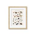 Picture of Animal Alphabet _GroupedProduct_Rectangle_Portrait_Framed_Matted_