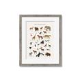 Picture of Animal Alphabet _GroupedProduct_Rectangle_Portrait_Framed_Matted_
