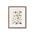 Picture of Animal Alphabet _GroupedProduct_Rectangle_Portrait_Framed_Matted_