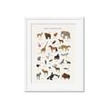 Picture of Animal Alphabet _GroupedProduct_Rectangle_Portrait_Framed_Matted_