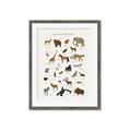 Picture of Animal Alphabet _GroupedProduct_Rectangle_Portrait_Framed_Matted_