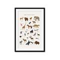 Picture of Animal Alphabet _GroupedProduct_Rectangle_Portrait_Framed_Matted_