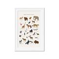 Picture of Animal Alphabet _GroupedProduct_Rectangle_Portrait_Framed_Matted_