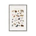 Picture of Animal Alphabet _GroupedProduct_Rectangle_Portrait_Framed_Matted_