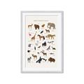 Picture of Animal Alphabet _GroupedProduct_Rectangle_Portrait_Framed_Matted_