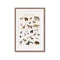 Picture of Animal Alphabet _GroupedProduct_Rectangle_Portrait_Framed_Matted_