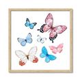 Picture of Fly Along _GroupedProduct_Square_Mini_ _GroupedProduct_Square_Framed_Matted_