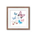 Picture of Fly Along _GroupedProduct_Square_Mini_ _GroupedProduct_Square_Framed_Matted_
