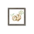 Picture of Swinging Sloth I  _GroupedProduct_Square_Mini_ _GroupedProduct_Square_Framed_Matted_