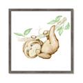 Picture of Swinging Sloth I  _GroupedProduct_Square_Mini_ _GroupedProduct_Square_Framed_Matted_