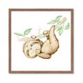 Picture of Swinging Sloth I  _GroupedProduct_Square_Mini_ _GroupedProduct_Square_Framed_Matted_