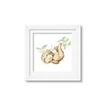 Picture of Swinging Sloth I  _GroupedProduct_Square_Mini_ _GroupedProduct_Square_Framed_Matted_