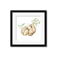 Picture of Swinging Sloth I  _GroupedProduct_Square_Mini_ _GroupedProduct_Square_Framed_Matted_