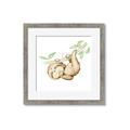 Picture of Swinging Sloth I  _GroupedProduct_Square_Mini_ _GroupedProduct_Square_Framed_Matted_