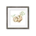 Picture of Swinging Sloth I  _GroupedProduct_Square_Mini_ _GroupedProduct_Square_Framed_Matted_