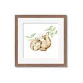 Picture of Swinging Sloth I  _GroupedProduct_Square_Mini_ _GroupedProduct_Square_Framed_Matted_
