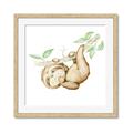 Picture of Swinging Sloth I  _GroupedProduct_Square_Mini_ _GroupedProduct_Square_Framed_Matted_