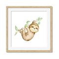 Picture of Swinging Sloth II  _GroupedProduct_Square_Mini_ _GroupedProduct_Square_Framed_Matted_