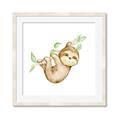 Picture of Swinging Sloth II  _GroupedProduct_Square_Mini_ _GroupedProduct_Square_Framed_Matted_