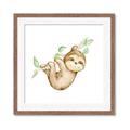 Picture of Swinging Sloth II  _GroupedProduct_Square_Mini_ _GroupedProduct_Square_Framed_Matted_