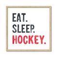 Picture of Eat Sleep Hockey _GroupedProduct_Square_Mini_ _GroupedProduct_Square_Framed_Matted_