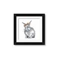 Picture of Baby Grey Bunny _GroupedProduct_Square_Mini_ _GroupedProduct_Square_Framed_Matted_