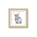 Picture of Baby Grey Bunny _GroupedProduct_Square_Mini_ _GroupedProduct_Square_Framed_Matted_