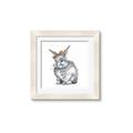Picture of Baby Grey Bunny _GroupedProduct_Square_Mini_ _GroupedProduct_Square_Framed_Matted_