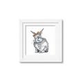 Picture of Baby Grey Bunny _GroupedProduct_Square_Mini_ _GroupedProduct_Square_Framed_Matted_