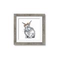 Picture of Baby Grey Bunny _GroupedProduct_Square_Mini_ _GroupedProduct_Square_Framed_Matted_