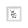 Picture of Baby Grey Bunny _GroupedProduct_Square_Mini_ _GroupedProduct_Square_Framed_Matted_
