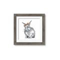 Picture of Baby Grey Bunny _GroupedProduct_Square_Mini_ _GroupedProduct_Square_Framed_Matted_