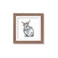 Picture of Baby Grey Bunny _GroupedProduct_Square_Mini_ _GroupedProduct_Square_Framed_Matted_