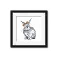 Picture of Baby Grey Bunny _GroupedProduct_Square_Mini_ _GroupedProduct_Square_Framed_Matted_
