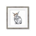 Picture of Baby Grey Bunny _GroupedProduct_Square_Mini_ _GroupedProduct_Square_Framed_Matted_