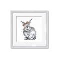 Picture of Baby Grey Bunny _GroupedProduct_Square_Mini_ _GroupedProduct_Square_Framed_Matted_