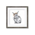 Picture of Baby Grey Bunny _GroupedProduct_Square_Mini_ _GroupedProduct_Square_Framed_Matted_