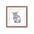 Picture of Baby Grey Bunny _GroupedProduct_Square_Mini_ _GroupedProduct_Square_Framed_Matted_