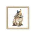 Picture of Baby Brown Bunny _GroupedProduct_Square_Mini_ _GroupedProduct_Square_Framed_Matted_