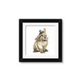Picture of Baby Brown Bunny _GroupedProduct_Square_Mini_ _GroupedProduct_Square_Framed_Matted_
