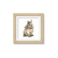 Picture of Baby Brown Bunny _GroupedProduct_Square_Mini_ _GroupedProduct_Square_Framed_Matted_