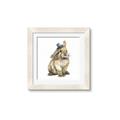 Picture of Baby Brown Bunny _GroupedProduct_Square_Mini_ _GroupedProduct_Square_Framed_Matted_