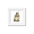 Picture of Baby Brown Bunny _GroupedProduct_Square_Mini_ _GroupedProduct_Square_Framed_Matted_