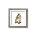 Picture of Baby Brown Bunny _GroupedProduct_Square_Mini_ _GroupedProduct_Square_Framed_Matted_
