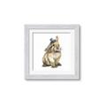 Picture of Baby Brown Bunny _GroupedProduct_Square_Mini_ _GroupedProduct_Square_Framed_Matted_